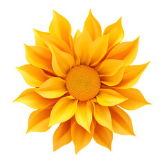 Obraz premium A bright yellow sunflower with wide petals isolated on a white background
