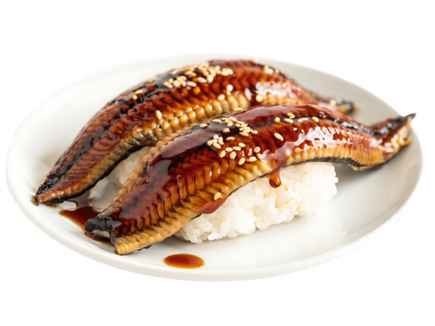 Isolated Unagi Sushi, Delicious