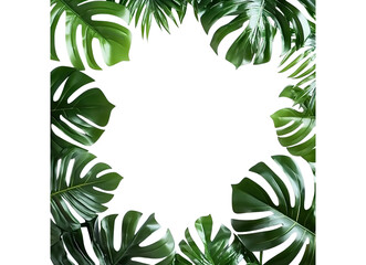 Fototapeta premium Photo frame with green palm leaves