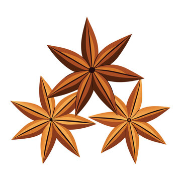 brown star anise spice isolated clip art preview