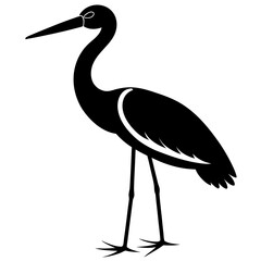 Animal Stork silhouette vector illustrator 