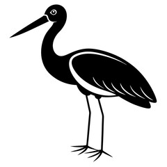 Animal Stork silhouette vector illustrator 
