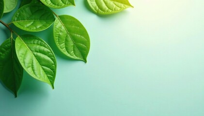 Subtle repeating leaf pattern on a light surface , backdrop, botanical, minimal