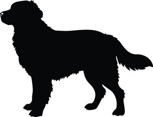 Black and white vector illustration of a dog in a wild animal silhouette style