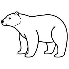 Animal polar bear silhouette vector illustrator