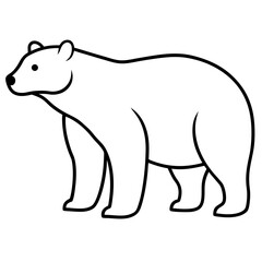 Animal polar bear silhouette vector illustrator