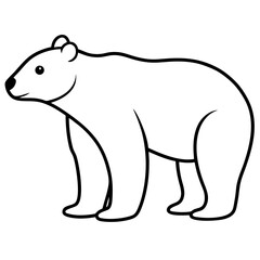 Animal polar bear silhouette vector illustrator