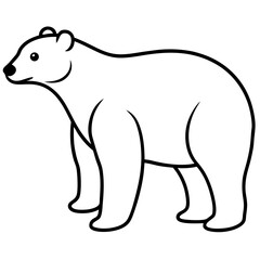 Animal polar bear silhouette vector illustrator