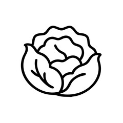 Cabbage icon illustration in black line art on white background  