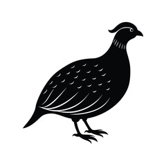 quail silhouette art