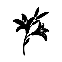 crocosmia flower icon, crocosmia flower line art - simple line art of crocosmia flower, perfect for crocosmia flower logos and icons