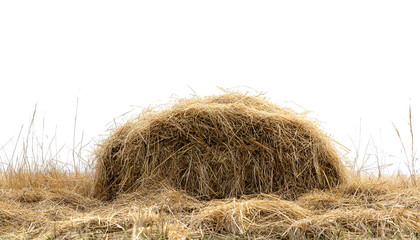 Heap of dried hay on white background