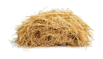 Heap of dried hay on white background