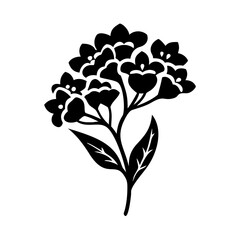 swee alyssumt flower icon, swee alyssumt flower line art - simple line art of swee alyssumt flower, perfect for swee alyssumt flower logos and icons