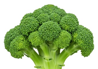 Photorealistic broccoli vibrant green detailed isolated white background