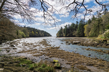 Paysage printanier de l'anse Saint-Laurent &agrave; Concarneau, avec des arbres qui bordent les rives et l'eau calme, offrant une sc&egrave;ne tranquille et verdoyante au bord de la mer.