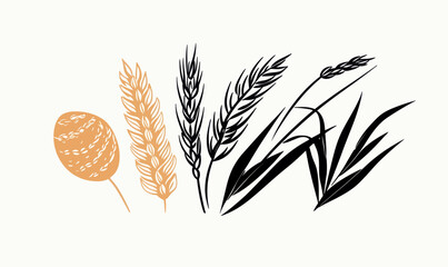 Organic Wheat Harvest Vector Illustration of Bread Agriculture and Natural Food Symbol