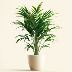 Lush areca palm in modern white pot against a soft cream backdrop casting subtle shadows offering a serene botanical studio shot