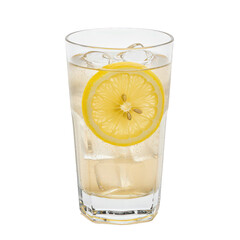 Sparkling Iced Lemonade with a Fresh Lemon Slice.