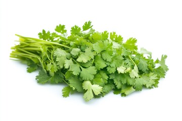 Fototapeta premium Fresh Cilantro Bunch Isolated on White Background for Culinary Use