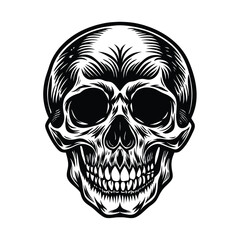Fototapeta premium human skull vector