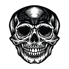 Fototapeta premium human skull vector