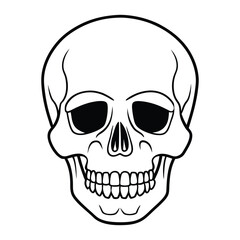 Obraz premium human skull vector illustration