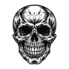 Fototapeta premium human skull vector illustration