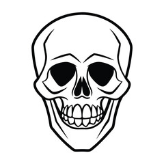 Obraz premium human skull vector illustration