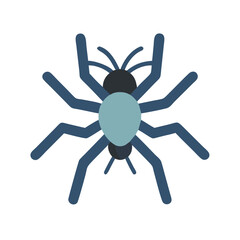  Cute Spider Icon for Kids' Education