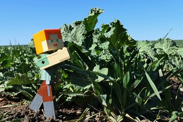 Fototapeta premium LEGO Minecraft figure of female main character Alex examining Sea Kale vegetable plant, latin name Crambe Maritima, on early spring field, sunlit by daylight sunshine, blue skies in background. 