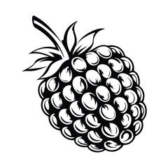 Obraz premium Detailed Monochrome Raspberry Design 