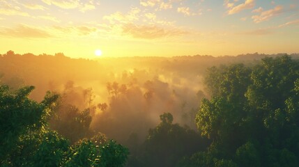 Naklejka premium Stunning photorealistic view of forest during sunrise mist rising leaf absorb light photosynthesis soft golden lighting high fidelity foliage detail cinematic realism ultra HD clarity flawless natural