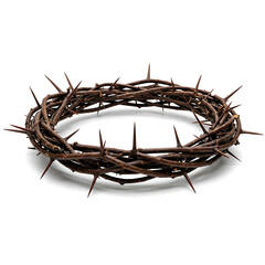 Fototapeta premium Crown of Thorns, a Symbolic Representation of Suffering isolated on White background.