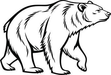 Obraz premium Black bear vector illustration with detailed features and sketch style, showcasing the wild mammal's face and fur, ideal for nature and wildlife themes