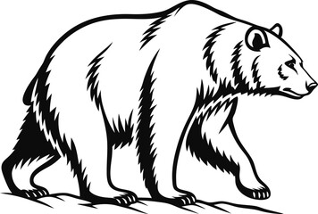 Black bear vector illustration with detailed features and sketch style, showcasing the wild mammal's face and fur, ideal for nature and wildlife themes
