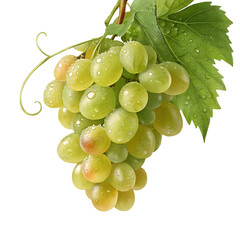 Ultra-Realistic 3D Render of Fresh Green Grapes with Dew on White Background