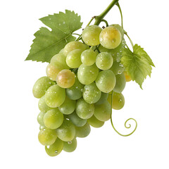 Ultra-Realistic 3D Render of Fresh Green Grapes with Dew on White Background