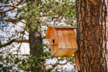 Wooden birdhouse hanging on a pine tree in the mountains