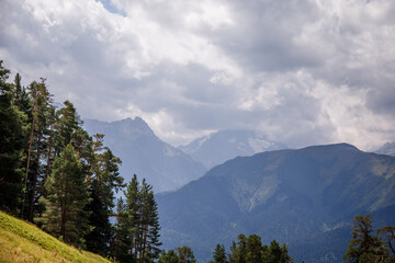 Mountain meadow under blue sky with clouds and pine trees