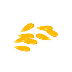 Corn kernels vector illustration 