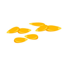 Corn kernels vector illustration 