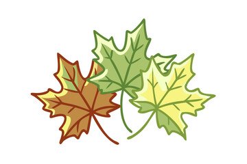 Obraz premium Three Cartoon Maple Leaves Representing Seasonal Transition From Green To Brown Autumn Colors