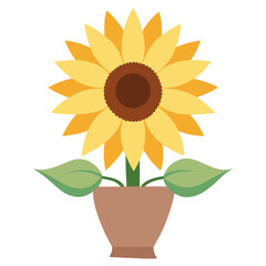 Obraz premium sunflower in a pot