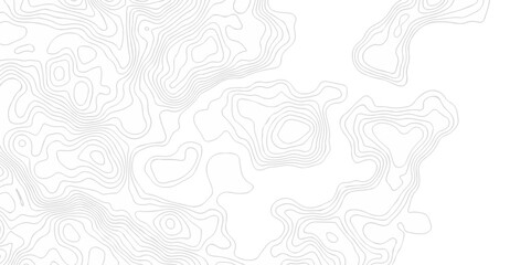 Abstract topography pattern seamless lines sea map modern design white background. Abstract digital topographic contour map concept space geometric strip grid line. Natural discovery of maps.	