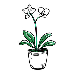 Potted orchid flowers flourishing in a decorative pot  