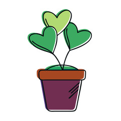 Heart-shaped leaves potted plant growing indoors  