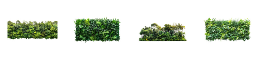 Fototapeta premium Lush green foliage panels showcasing diverse nature textures and varieties. Set png cut out