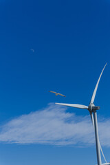 Wind turbine generating electricity with the moon in the blue sky background.