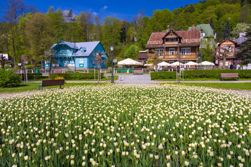 Wiosna w Krynicy-Zdroju. © Jacek